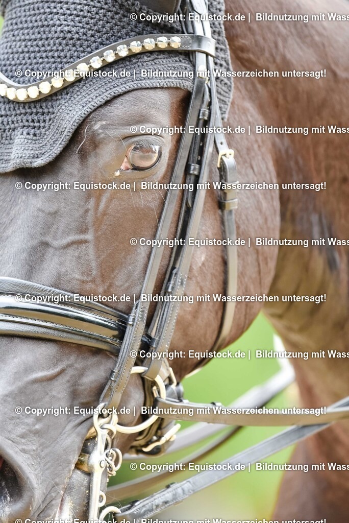 20250608_03_GP-Special-Tour_0593 | Foto: Thomas Hartig