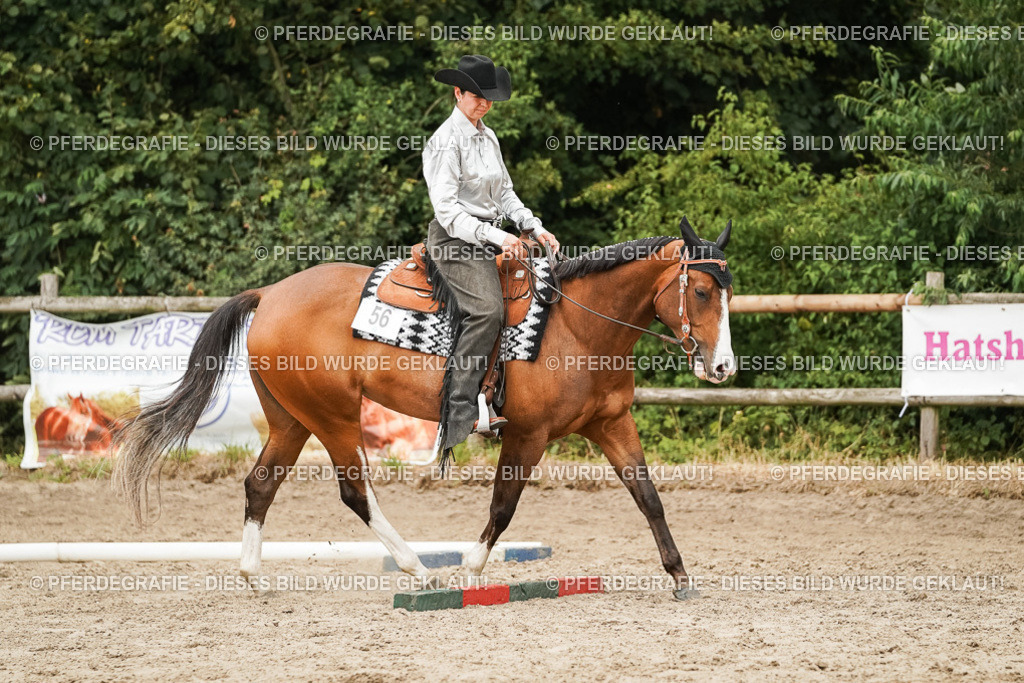 DSC08518 | Pferdegrafie