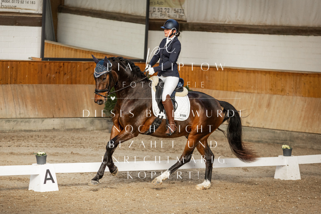 IMGT3849 | pl-fotografie