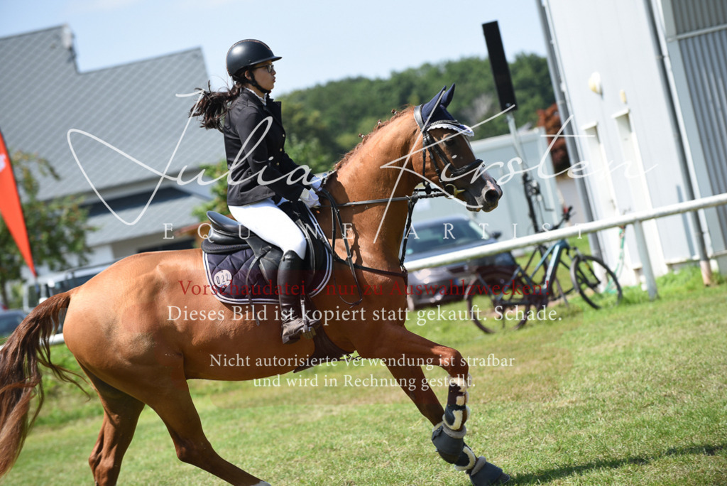 DSC_0015 | Pferde- und Turnierfotografie in Westsachsen. Pferdeportraits, Auftragszeichnungen und intuitive Kunst.