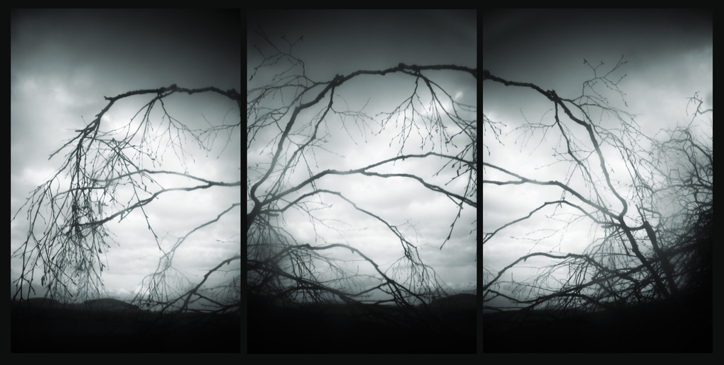 insideout | Stimmungsvolle Fotografien von Dorit Fuhg. Kaufen Sie bequem hochwertige Fine-Art Drucke, Wandbilder und Kalender hier im Online-Shop. - Realisiert mit Pictrs.com