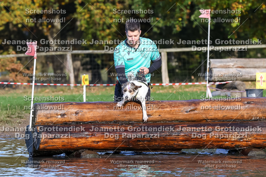 Dog Paparazzi - Strongdog 10-25-8625 | Dog Paparazzi Jeanette Grottendiek Fotografie & Videografie - Realisiert mit Pictrs.com