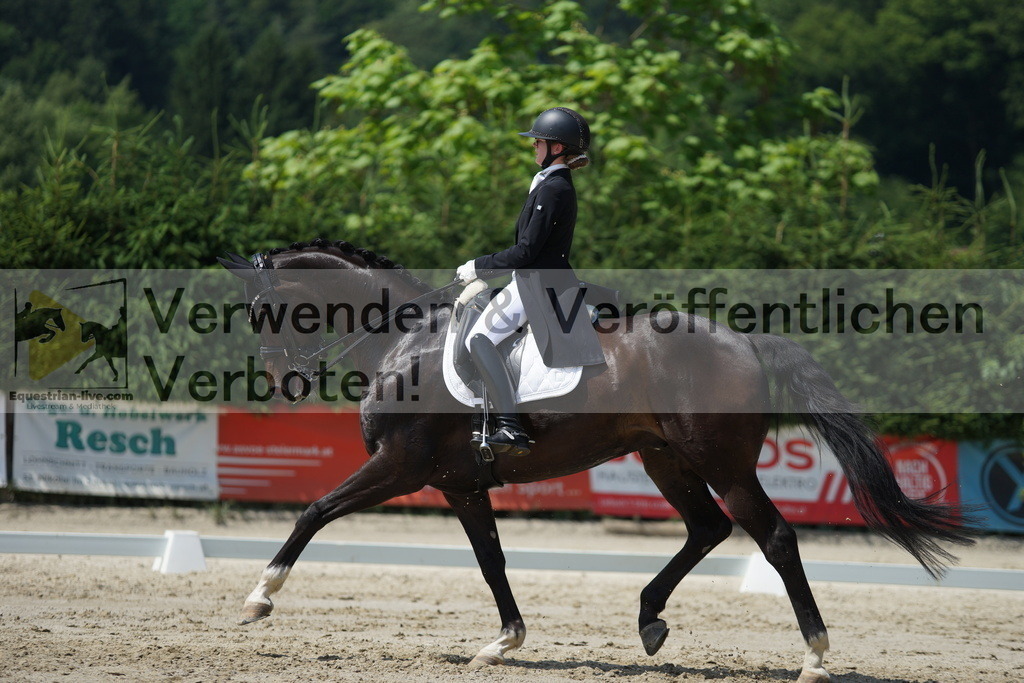 DSC05296 | equestrian-live-com
