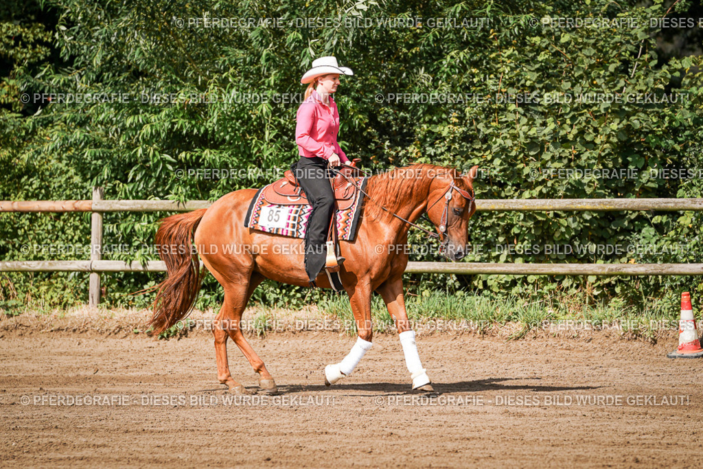 DSC09425 | Pferdegrafie