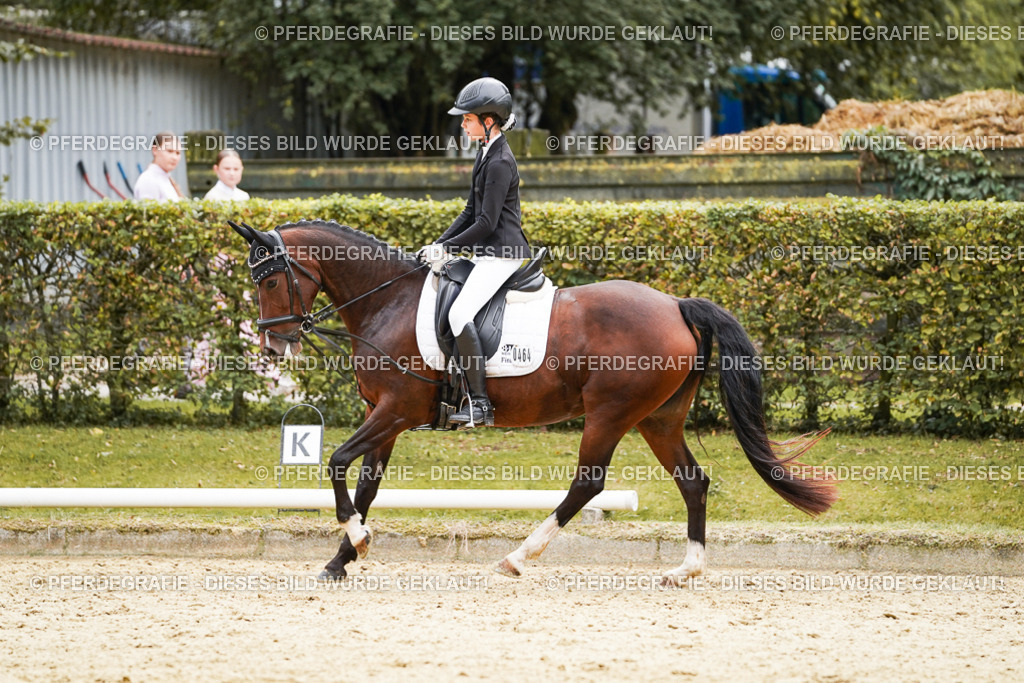 DSC09594 | Pferdegrafie