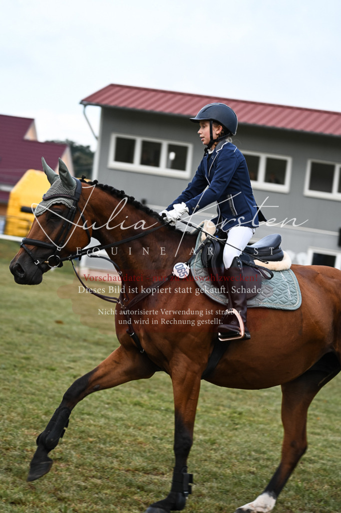 DSC_5689 | Pferde- und Turnierfotografie in Westsachsen. Pferdeportraits, Auftragszeichnungen und intuitive Kunst.