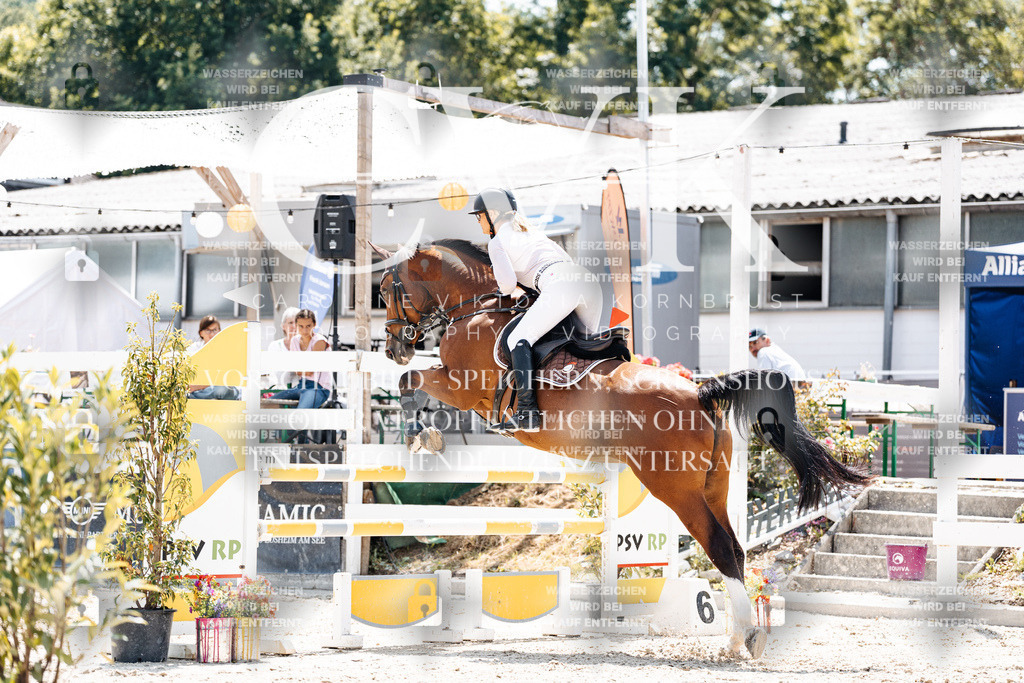 CK907733 | Turnierfotografie Pferdefotografie Trier Rheinland-Pfalz Pferdesport Reitsport Tierfotografie Sportfotografie Pferdevideo Pferdevideografie Equestrianvideography equestrianphotography  - Realisiert mit Pictrs.com