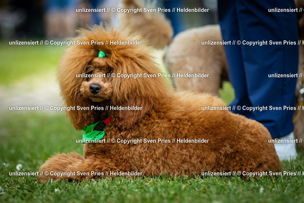 Sven Pries | 2025-05-29 - Pudelrennen KA-Durlach - Realisiert mit Pictrs.com