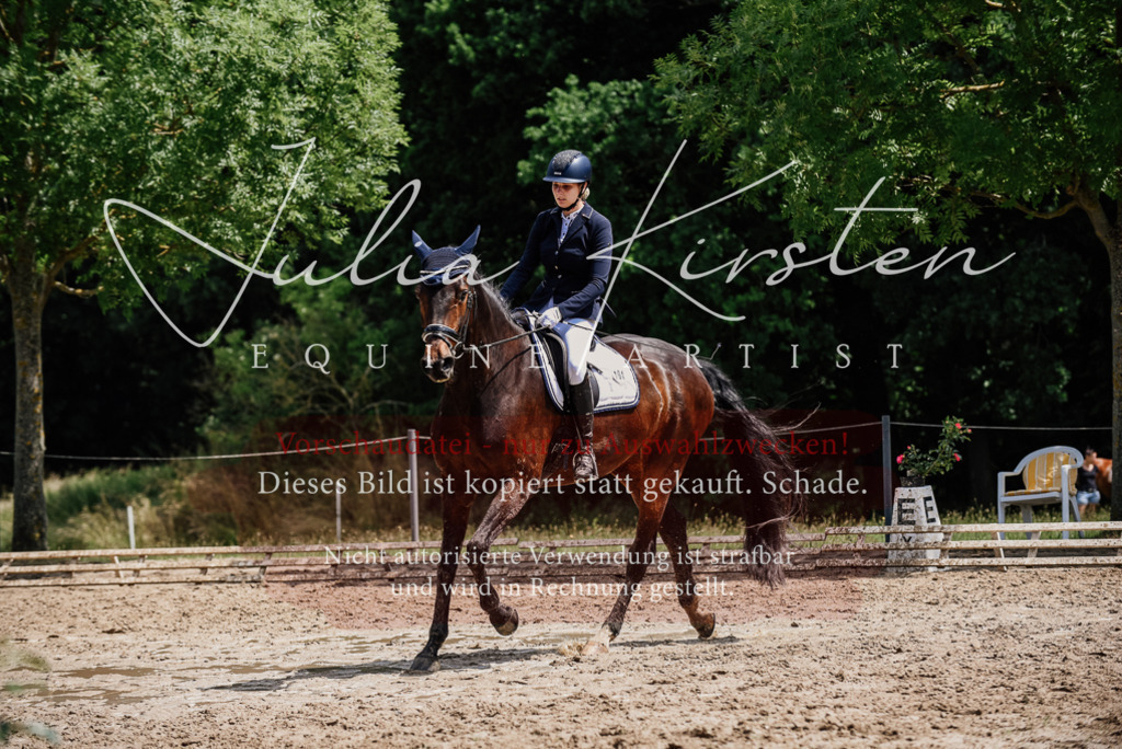 DSC_1488 | Pferde- und Turnierfotografie in Westsachsen. Pferdeportraits, Auftragszeichnungen und intuitive Kunst.