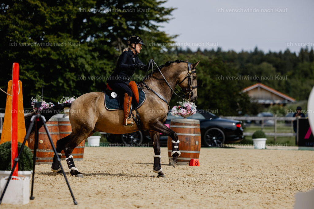 Katja7_FHC2025-20228 | working equitationturnier fotograf videograf stoibphotography marixx film working equitation deutschland reitsport turnierfotografie eventfotografie equestrian events