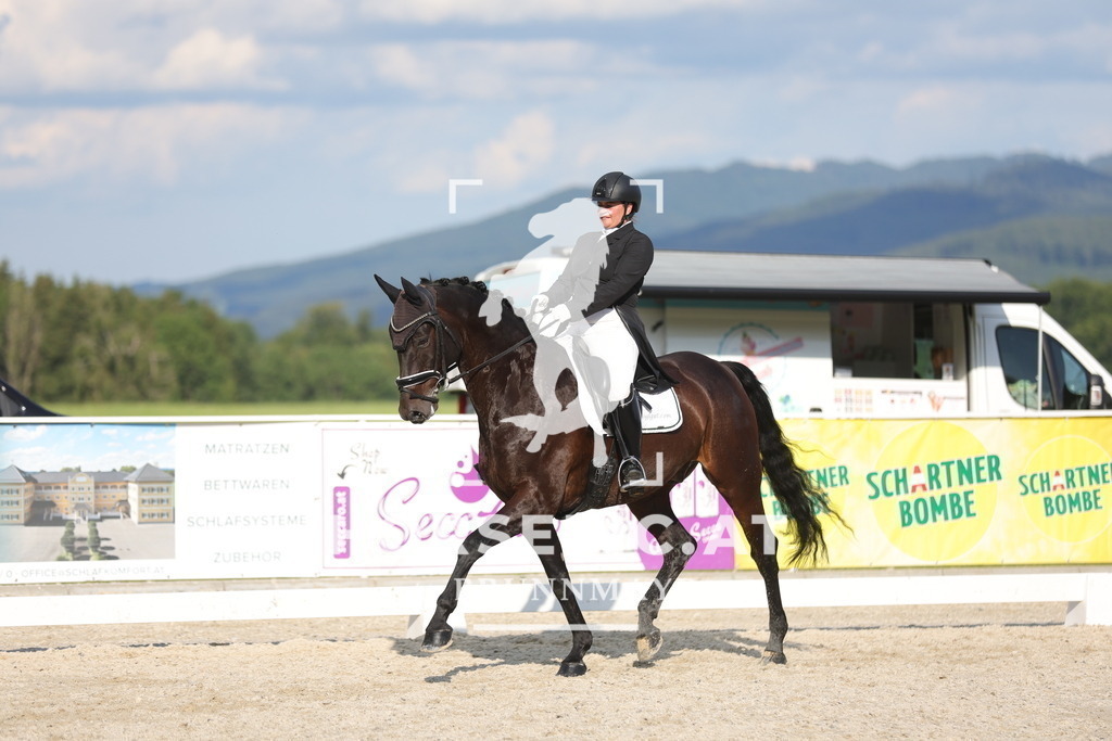 0P6A7443 | Willkommen bei Brunnmayr - Design & Fotografie – Ihrem Spezialisten für Reitturniere und Pferdeveranstaltungen in Oberösterreich, Salzburg und Bayern! Seit über 17 Jahren sind wir leidenschaftlich dabei.