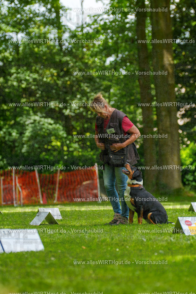 @allesWIRTHgut_Tierfotografie - www.allesWIRTHgut.de - 7R504591 | Professionelle Tierfotografie in Mönchengladbach von Daniel Wirth (allesWIRTHgut). Liebevolle & natürliche Bilder von Hunden & Katzen für unvergessliche Erinnerungen.
