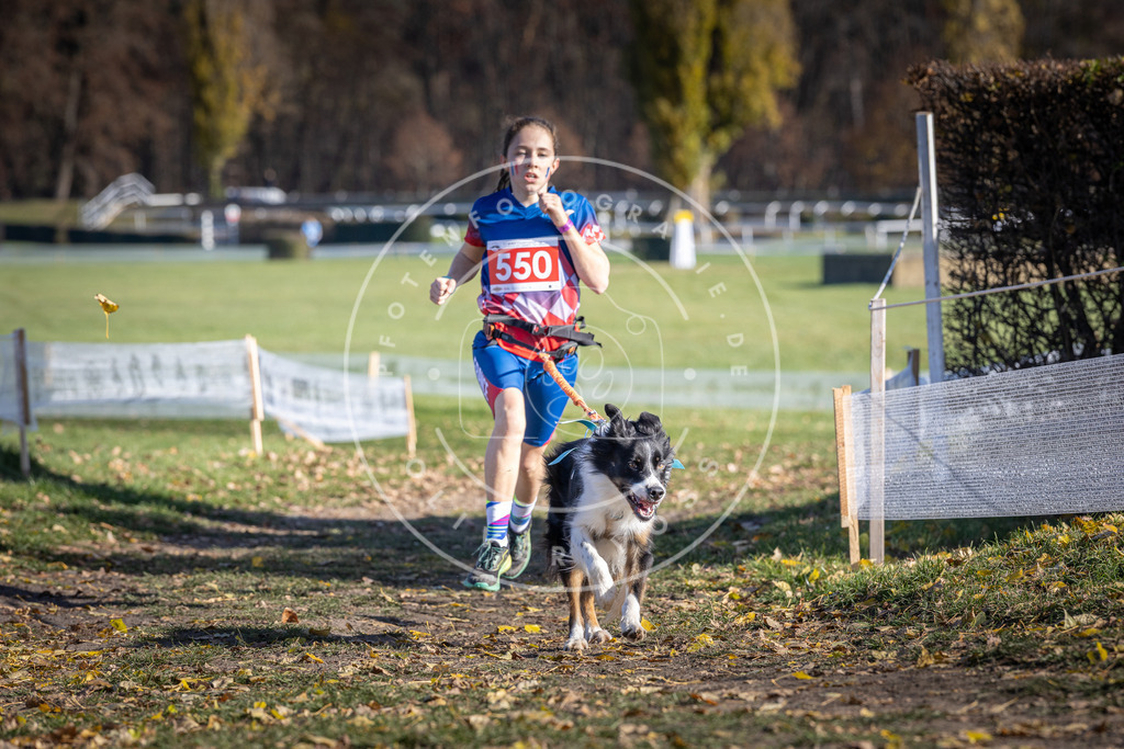 CaniXpix_DV3A8486 | Hundefotografie, Tierfotograf, Pfotenfotografie, Fotoshooting Hund, Hunde Portrait, Hundesport, Hundeportraits, Heideshooting, Hunde, Sportfotograf, Hundefotograf, Turnierhundsport, THS,  - Realisiert mit Pictrs.com