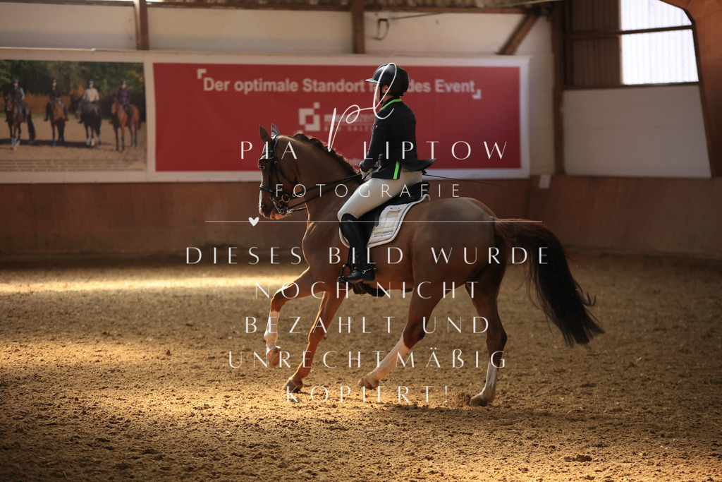 IMGT3518 | pl-fotografie