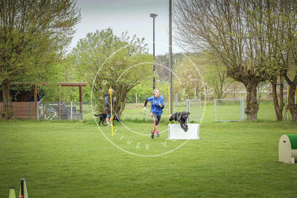 Pfotenfotografie_0L8A9583 | Hundefotografie, Tierfotograf, Pfotenfotografie, Fotoshooting Hund, Hunde Portrait, Hundesport, Hundeportraits, Heideshooting, Hunde, Sportfotograf, Hundefotograf, Turnierhundsport, THS,  - Realisiert mit Pictrs.com