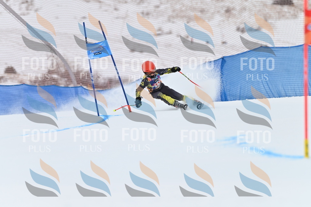 BGV_9481 | holidayphoto