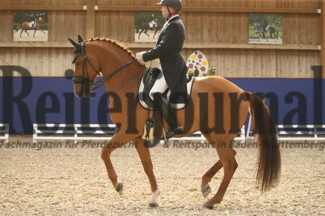 Turnier_Zeutern_2022_Prfg.Nr.02_Kurz-GrandPrix_Dirk Glitz_Elian Royale (28) | Alle Fotos der Reiterjournal Fotografin Doris Matthaes im Reiterjournal Online-Fotoshop. - Realisiert mit Pictrs.com