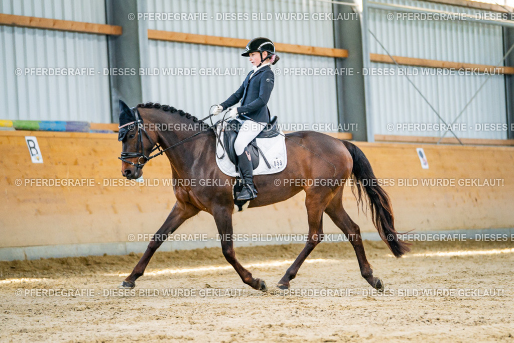 DSC06331 | Pferdegrafie