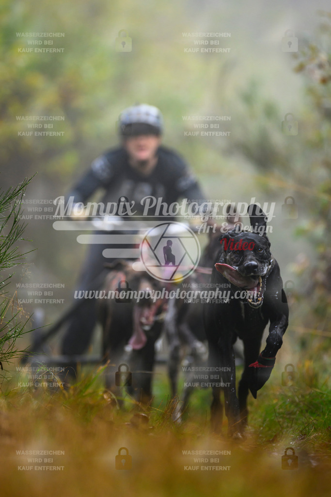MompixPhotography_20TSB_E4_Kart-19 | PayLife