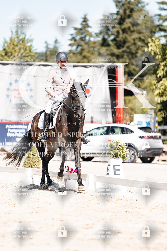 CK909425 | Turnierfotografie Pferdefotografie Trier Rheinland-Pfalz Pferdesport Reitsport Tierfotografie Sportfotografie Pferdevideo Pferdevideografie Equestrianvideography equestrianphotography  - Realisiert mit Pictrs.com