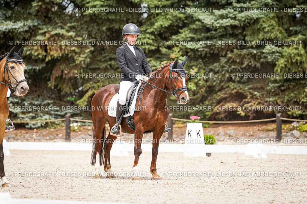 DSC04343 | Pferdegrafie