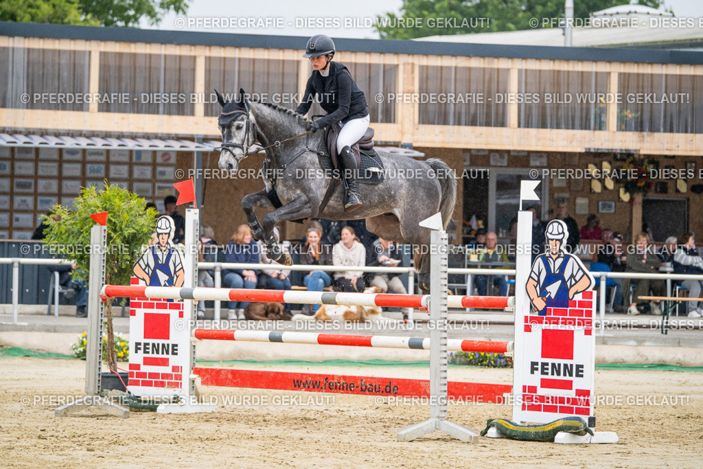 DSC01556 | Pferdegrafie