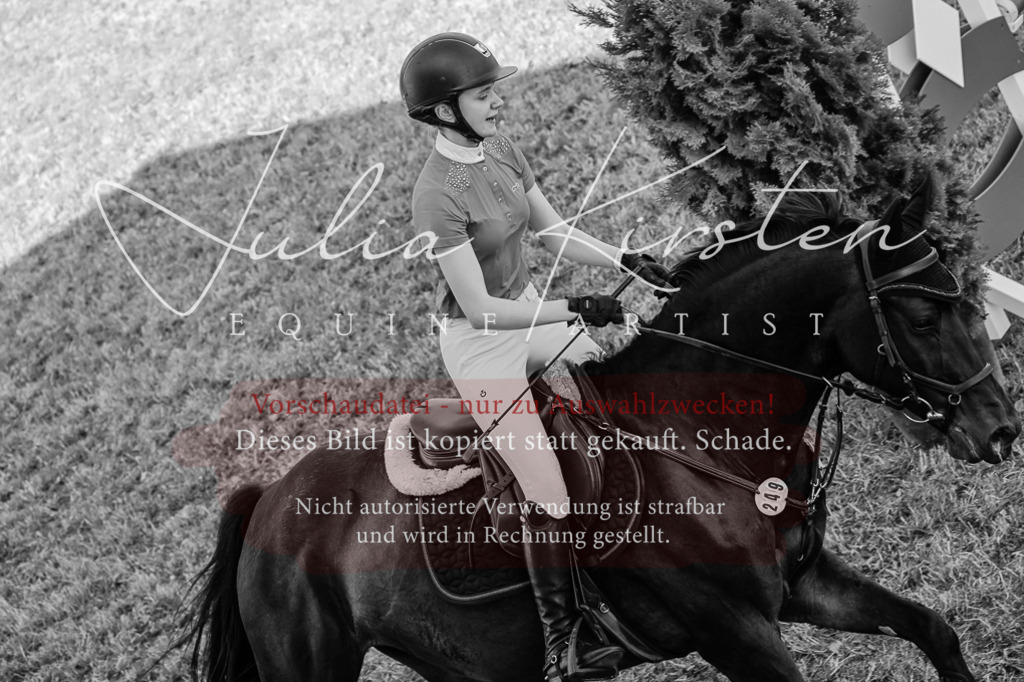 DSC_2382 | Pferde- und Turnierfotografie in Westsachsen. Pferdeportraits, Auftragszeichnungen und intuitive Kunst.