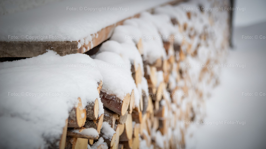 foto_yugi_0049 | foto_yugi_0049