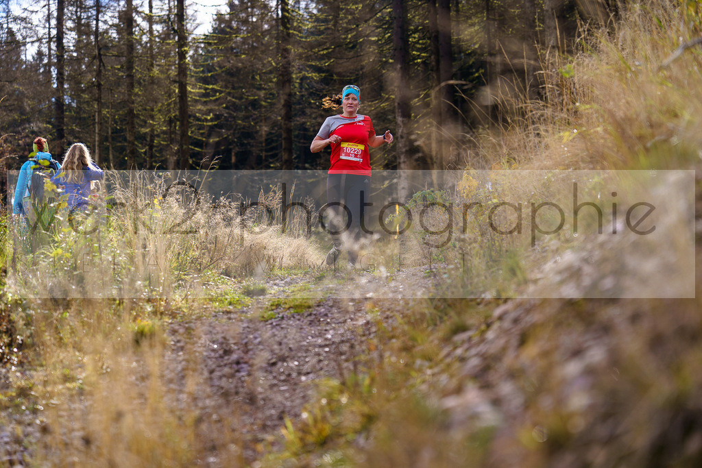 Herbstlauf 2024 | Rennsteig-Herbstlauf von Neuhaus am Rennweg nach Masserberg am 6. Oktober 2024