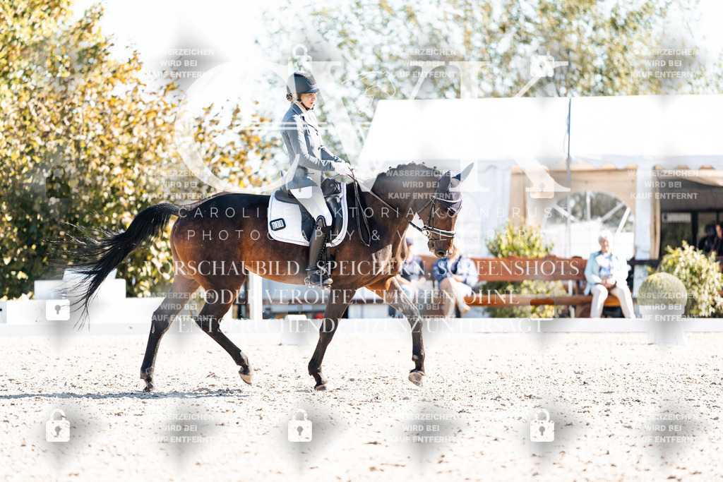 CK908780 | Turnierfotografie Pferdefotografie Trier Rheinland-Pfalz Pferdesport Reitsport Tierfotografie Sportfotografie Pferdevideo Pferdevideografie Equestrianvideography equestrianphotography  - Realisiert mit Pictrs.com