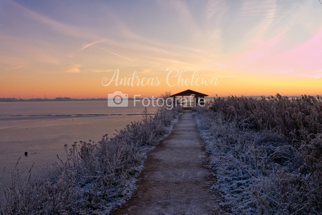Weg zum See | Der Onlineshop für malerische Fotografien aus dem Landkreis Vechta✅ Premium Druck auf Leinwand✅ Acryl✅ oder Alu-Dibond✅➤Jetzt Bestellen! - Realisiert mit Pictrs.com