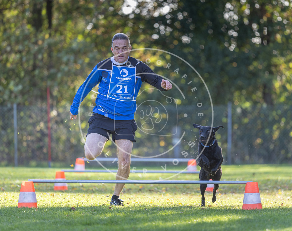 Pfotenfotografie.de_DV3A3014 | Hundefotografie, Tierfotograf, Pfotenfotografie, Fotoshooting Hund, Hunde Portrait, Hundesport, Hundeportraits, Heideshooting, Hunde, Sportfotograf, Hundefotograf, Turnierhundsport, THS, canicross - Realisiert mit Pictrs.com