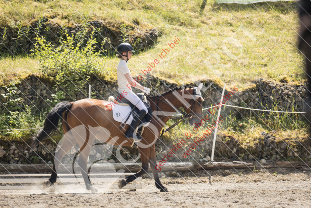 IMG_4594 | Sport-, Event- und Tierfotos in Profiqualität. Einfach auswählen, bestellen und herunterladen. Dein Moment – perfekt festgehalten.