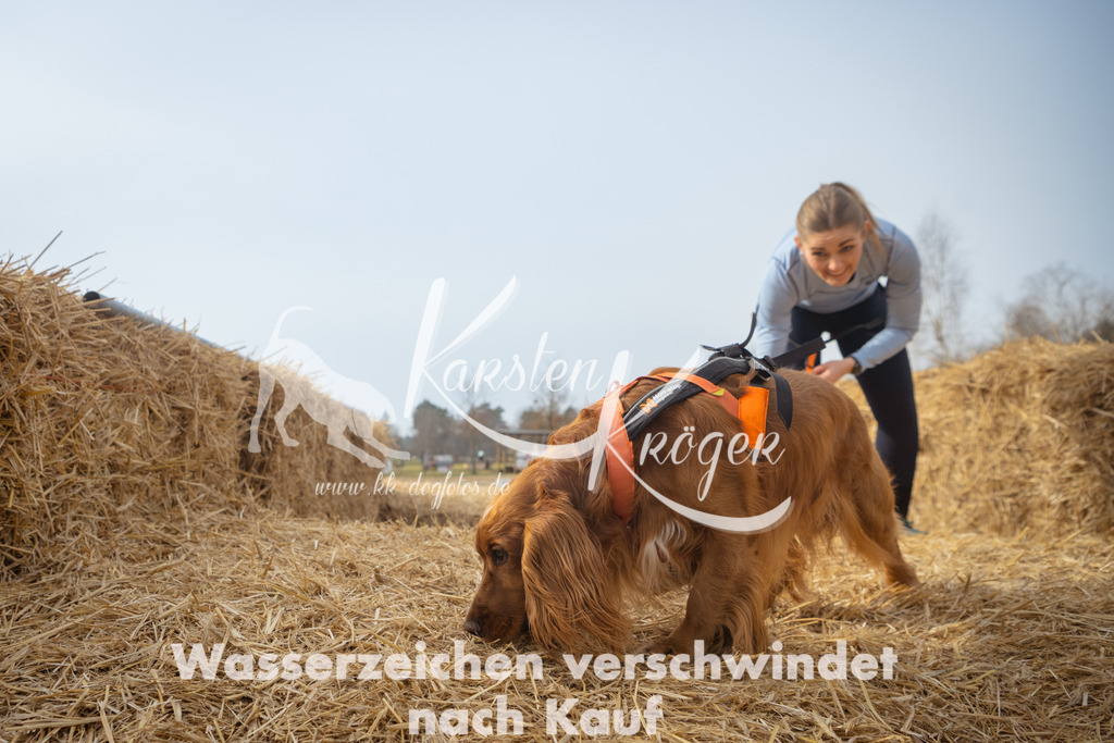 1021_ZZ94501 | kk-dogfotos