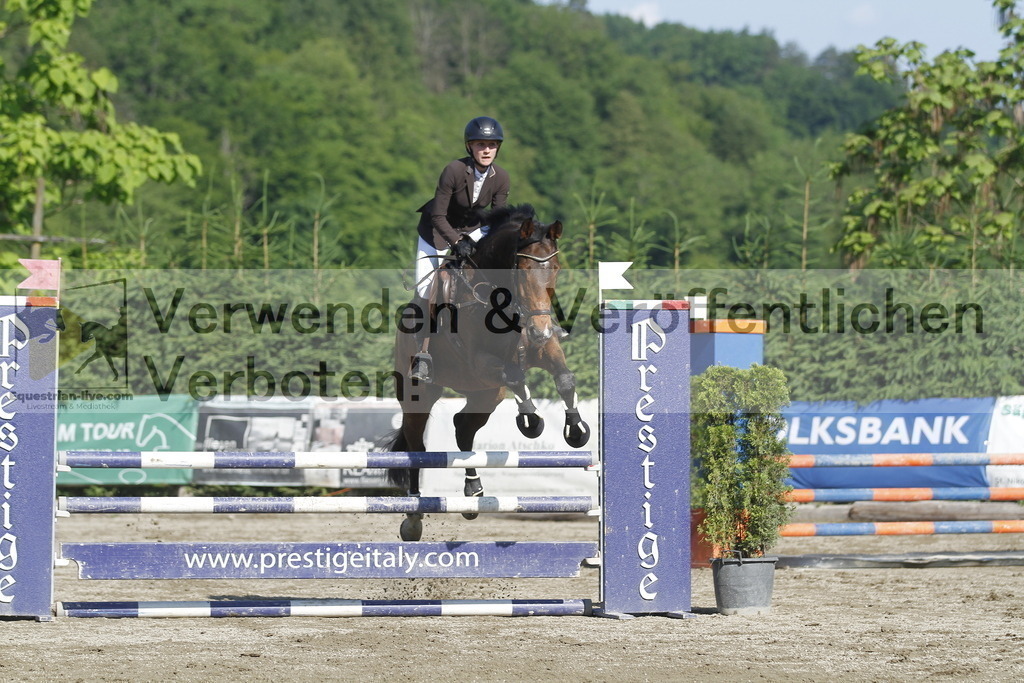 _MG_8066 | equestrian-live-com