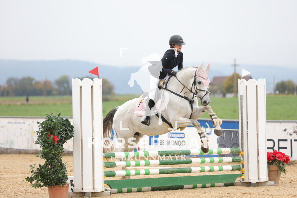 0P6A1285 | Willkommen bei Brunnmayr - Design & Fotografie – Ihrem Spezialisten für Reitturniere und Pferdeveranstaltungen in Oberösterreich, Salzburg und Bayern! Seit über 17 Jahren sind wir leidenschaftlich dabei.