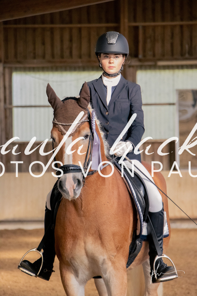 IMG_3277 | Erleben Sie dynamische Sport- und emotionale Tierfotografie in Süddeutschland mit Fotos von Paula. Spezialisiert auf Pferde- und Hundefotografie sowie Sportevents. Kontaktieren Sie mich für einzigartige und ausdrucksstarke Bilder Ihrer besonderen Momente. - Realisiert mit Pictrs.com