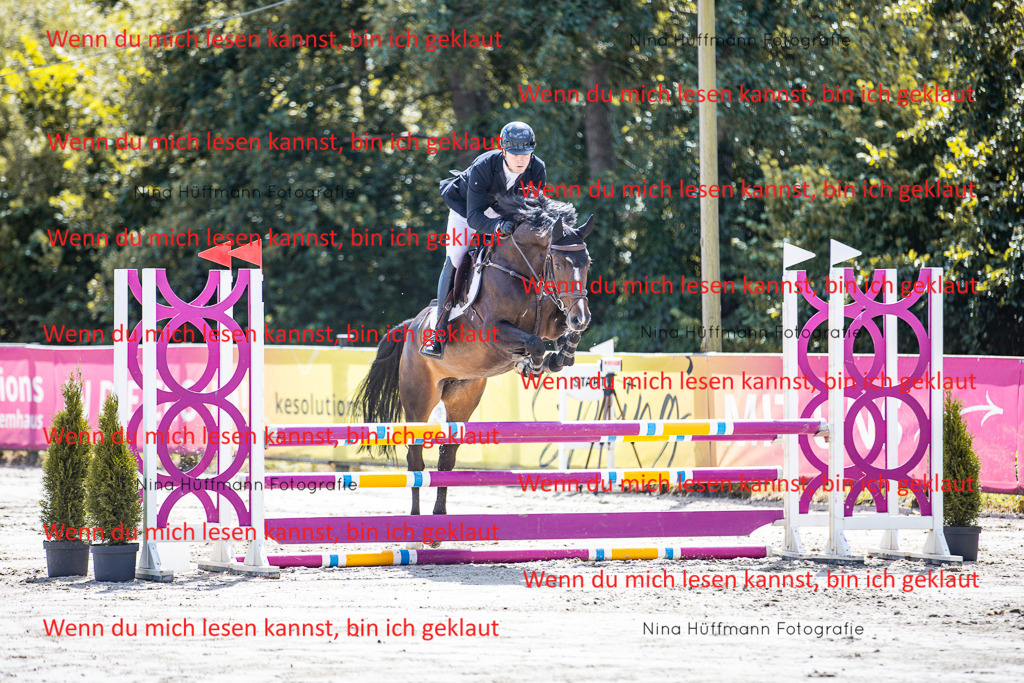 BK1A5055 | Turnierbilder Turnierfotos Nina Hüffmann Turnierfotografie Pferdefotografie Tierzeichnung Haustierzeichnung Pferdezeichnung Hundezeichnung Videograf  - Realisiert mit Pictrs.com