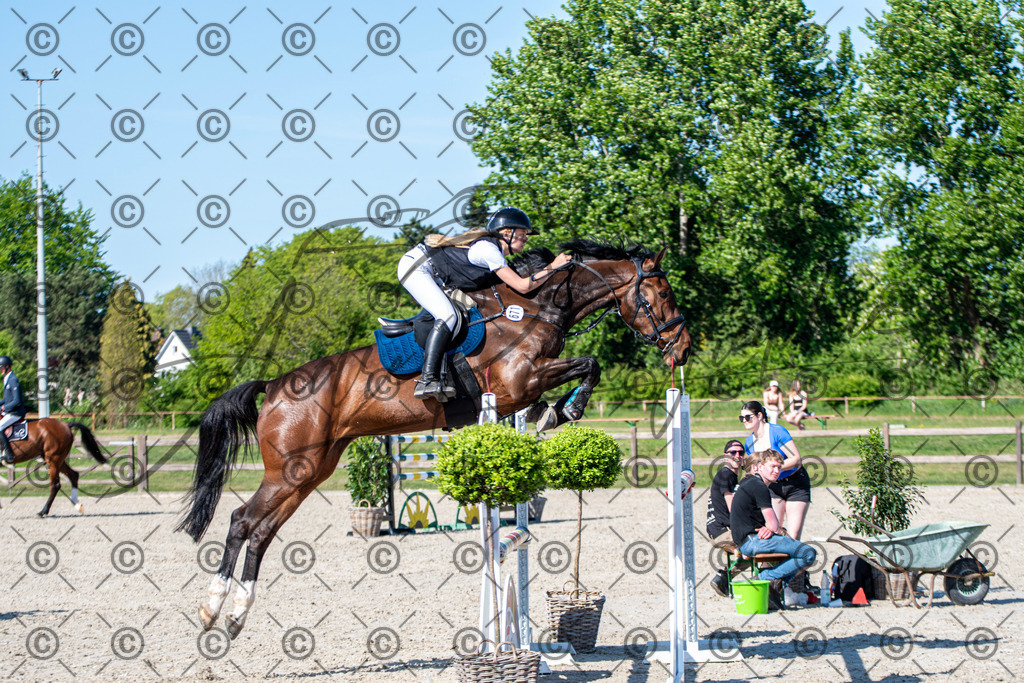 KPT_1794 | andre_photographic