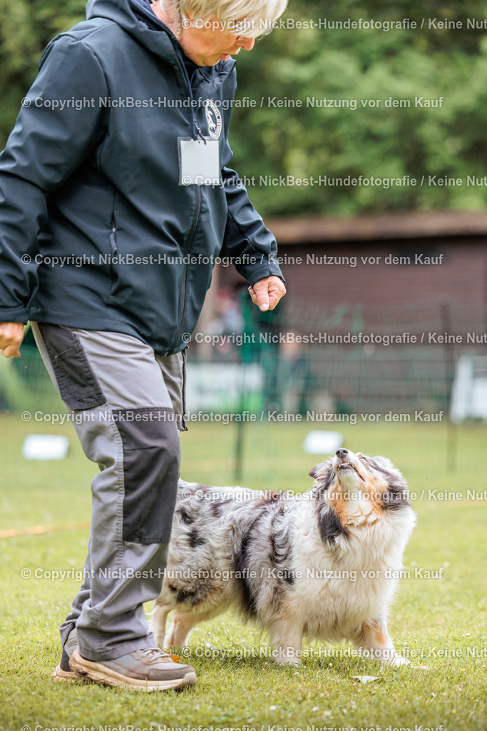 RO-Blumenthal-2026-Nickbest-Hundefotografie-2942 | Dein Hund! Dein Moment! Deine Erinnerungen! Hundefotografie in Bremen Blumenthal. Ich fange die besonderen Momente deines Vierbeiners ein – ob Indoor mit Blitzanlage oder in der freien Natur. Sicher dir dein Moment und dein Termin für eure Erinnerungen.