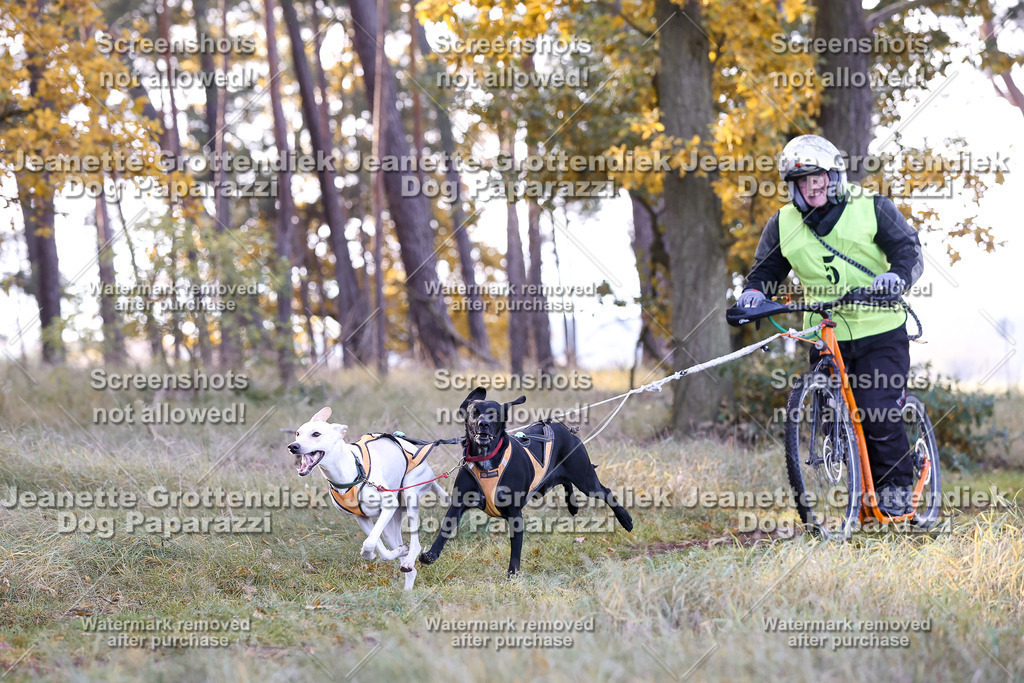 Dog Paparazzi - Elsholz 25 -81 | Dog Paparazzi Jeanette Grottendiek Fotografie & Videografie