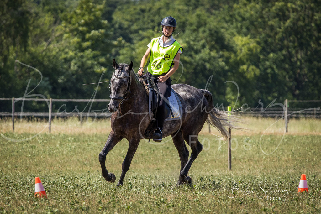 CJP_2026-06-26_120 | Stimmungsvolle Fotografie von Pferden, fotografische Begleitung von Veranstaltungen, Golfturnieren und Distanzritten - Realisiert mit Pictrs.com
