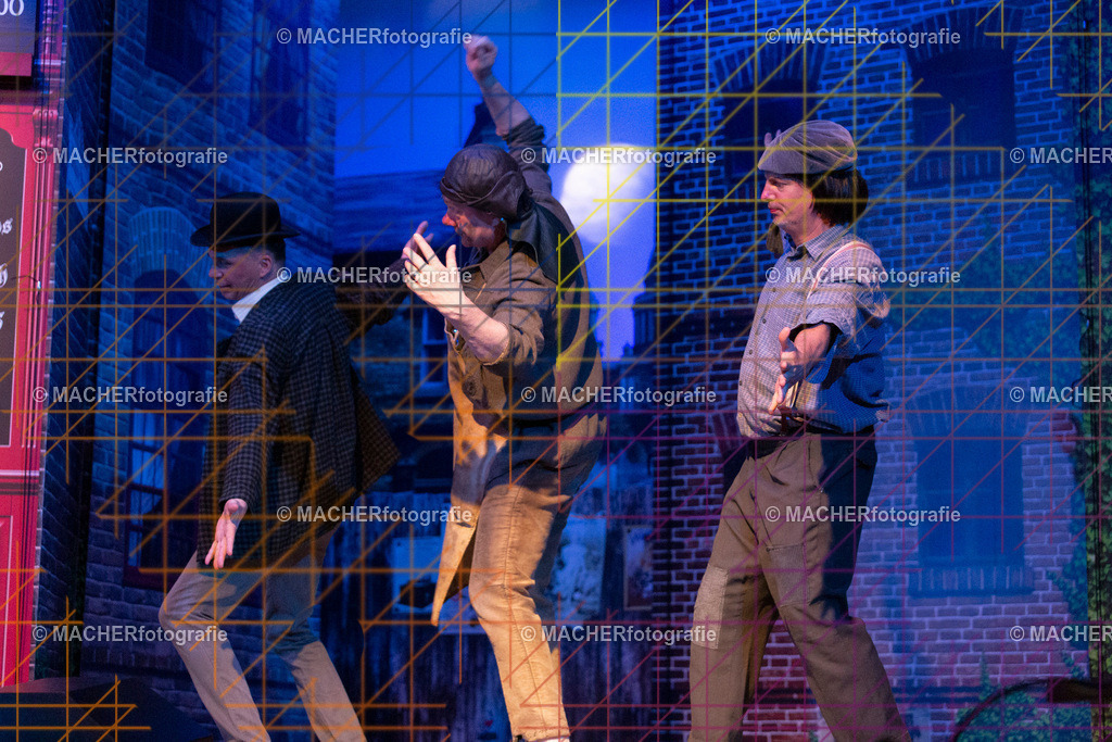 088_MFL-2025 | Portraitbilder von Regisseur; Darsteller; Techniker; Maske; Kostüme; Chor; Musiker; Bilderserie der Generalprobe und der Premierenvorstellung, Szenenbilder; Ausdrucksstudien; Bühnenüberblick; Bühnenkulissen; Pressefotos inkl. Redaktionsfoto Darstellergruppe.