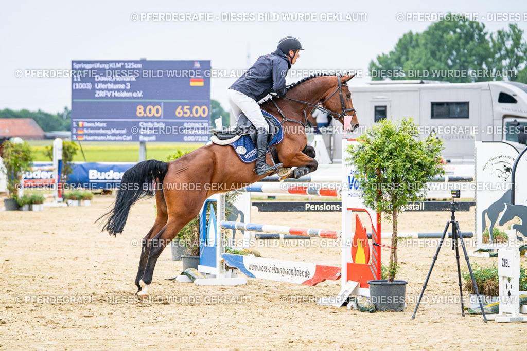 DSC06913 | Pferdegrafie