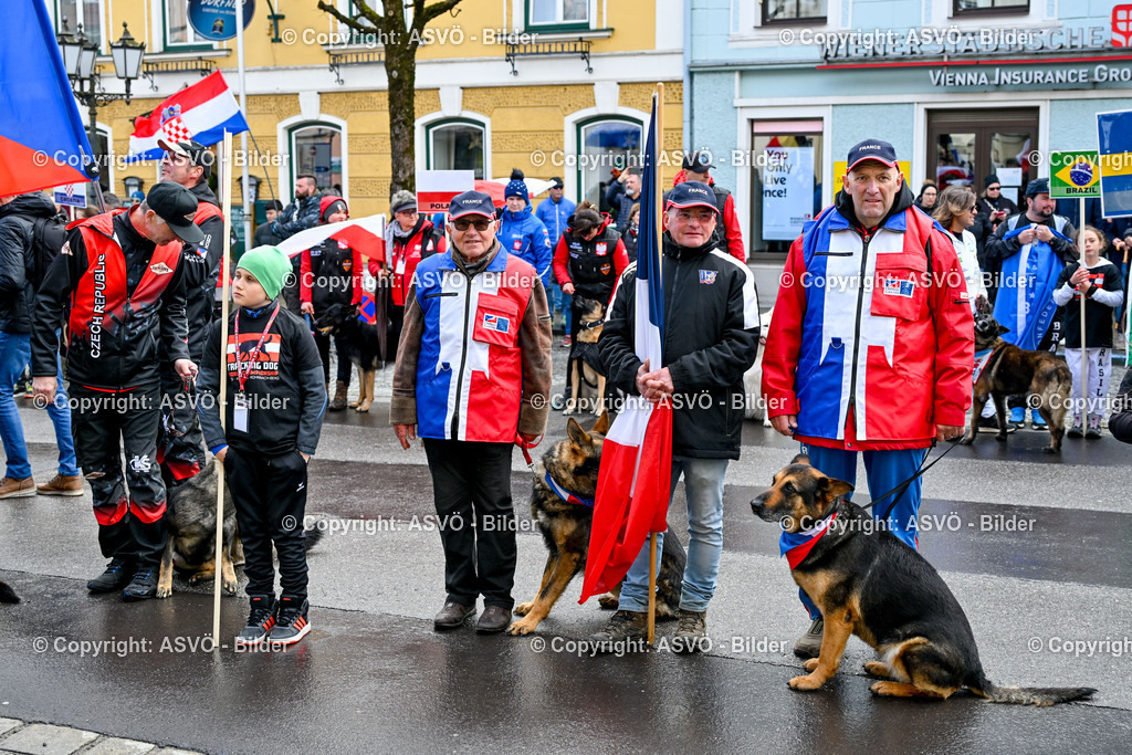 ASVÖ_ Tracking Dog World Championship 2025_ 31.03.2025-228 | 31.03.2025, AUT, ASVÖ, Tracking Dog World Championship // FCI IGP Fährtenhundeweltmeisterschaft 2025©fodo.media / Harald Dostal - Realisiert mit Pictrs.com