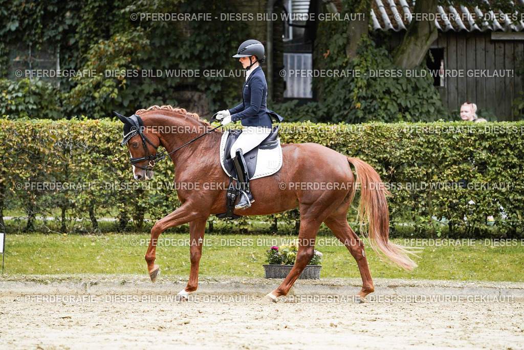 DSC07022 | Pferdegrafie