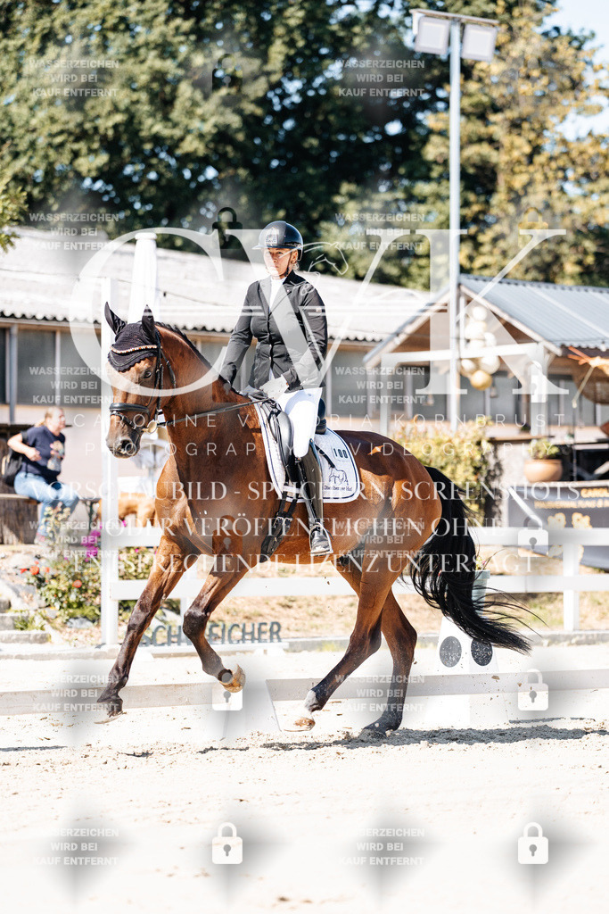 CK909190 | Turnierfotografie Pferdefotografie Trier Rheinland-Pfalz Pferdesport Reitsport Tierfotografie Sportfotografie Pferdevideo Pferdevideografie Equestrianvideography equestrianphotography  - Realisiert mit Pictrs.com
