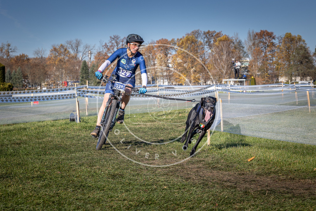 CaniXpix_0L8A5786 | Hundefotografie, Tierfotograf, Pfotenfotografie, Fotoshooting Hund, Hunde Portrait, Hundesport, Hundeportraits, Heideshooting, Hunde, Sportfotograf, Hundefotograf, Turnierhundsport, THS,  - Realisiert mit Pictrs.com