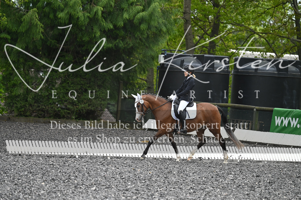 20230512_JK-Röhrsdorf-07-314 | Pferde- und Turnierfotografie in Westsachsen. Pferdeportraits, Auftragszeichnungen und intuitive Kunst.