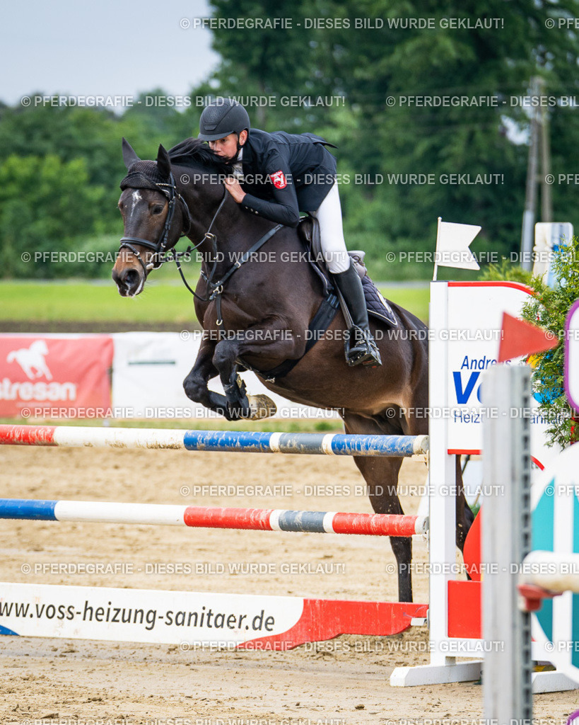 DSC05005 | Pferdegrafie